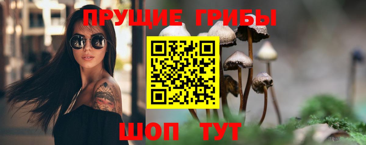 Псилоцибиновые грибы Psilocybine cubensis Рубцовск